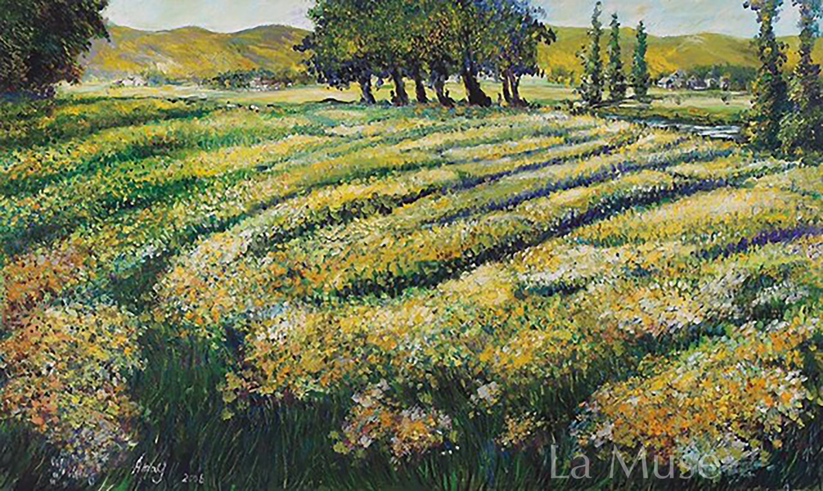 原野 country field Image