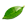 leaf2s